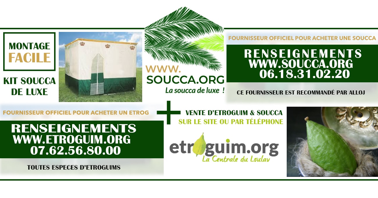 SOUCCA ACHETER